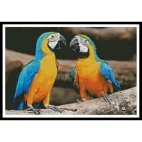 Artecy Cross Stitch Blue and Yellow Macaws 11501 Cross Stitch Chart Hard Copy