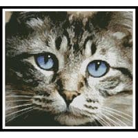 Artecy Cross Stitch Blue Eyes 10022 Cross Stitch Chart Hard Copy