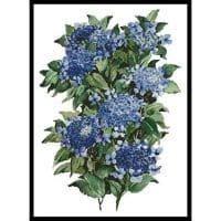 Artecy Cross Stitch Blue Hydrangea 10332 PFLD Cross Stitch Chart Hard Copy