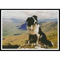 Artecy Cross Stitch Border Collie in the Hills 11444 Cross Stitch Chart Hard Copy