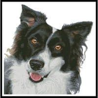 Artecy Cross Stitch Border Collie Painting 12664 HC Cross Stitch Chart Hard Copy