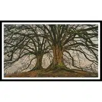 Artecy Cross Stitch Branching Out 13528 Cross Stitch Chart Hard Copy
