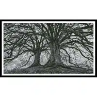 Artecy Cross Stitch Branching Out Black and White 13530 Cross Stitch Chart Hard Copy
