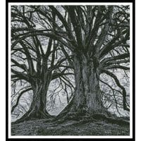 Artecy Cross Stitch Branching Out Black and White Crop 13531 Cross Stitch Chart Hard Copy