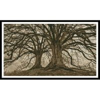 Artecy Cross Stitch Branching Out Sepia 13532 Cross Stitch Chart Hard Copy