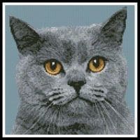 Artecy Cross Stitch British Shorthair Cat Mini 11597 Cross Stitch Chart Hard Copy
