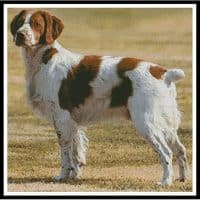 Artecy Cross Stitch Brittany Spaniel 12379 Cross Stitch Chart Hard Copy