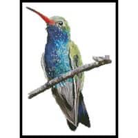 Artecy Cross Stitch Broad-billed Hummingbird 12943 CH Cross Stitch Chart Hard Copy