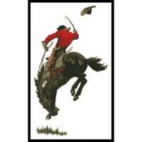 Artecy Cross Stitch Bucking Bronco 14055 Cross Stitch Chart Hard Copy