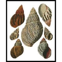 Artecy Cross Stitch Bulla Shells 10253 Cross Stitch Chart Hard Copy