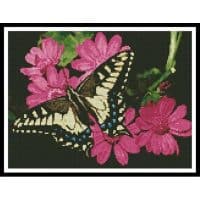 Artecy Cross Stitch Butterfly 3 11075 Cross Stitch Chart Hard Copy