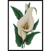 Artecy Cross Stitch Calla Lily 10322 Cross Stitch Chart Hard Copy