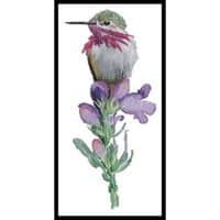 Artecy Cross Stitch Calliope Hummingbird 12773 CH Cross Stitch Chart Hard Copy