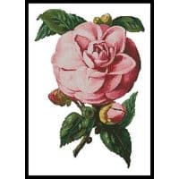 Artecy Cross Stitch Camellia 6 10555 Cross Stitch Chart Hard Copy