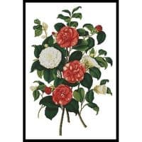 Artecy Cross Stitch Camellias 1 11447 Cross Stitch Chart Hard Copy