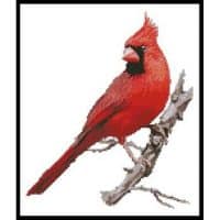 Artecy Cross Stitch Cardinal 12556 CH Cross Stitch Chart Hard Copy