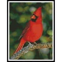 Artecy Cross Stitch Cardinal Photo 11400 Cross Stitch Chart Hard Copy