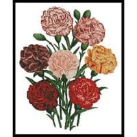 Artecy Cross Stitch Carnations 11313 Cross Stitch Chart Hard Copy