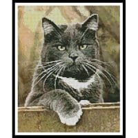 Artecy Cross Stitch Cat on a Fence 11333 Cross Stitch Chart Hard Copy