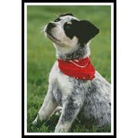 Artecy Cross Stitch Cattle Dog 10397 Cross Stitch Chart Hard Copy
