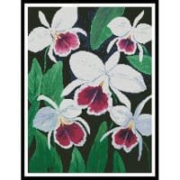 Artecy Cross Stitch Cattleya Orchids 11119 Cross Stitch Chart Hard Copy