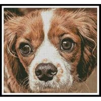 Artecy Cross Stitch Cavalier King Charles 13385 Cross Stitch Chart Hard Copy