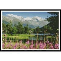 Artecy Cross Stitch Champex Switzerland 10484 Cross Stitch Chart Hard Copy
