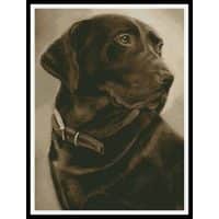 Artecy Cross Stitch Chocolate Labrador 11153 HC Cross Stitch Chart Hard Copy