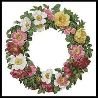 Artecy Cross Stitch Christmas Roses 11592 Cross Stitch Chart Hard Copy