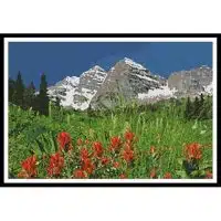 Artecy Cross Stitch Colorado 13814 Cross Stitch Chart Hard Copy