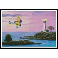 Artecy Cross Stitch Curtiss Sparrowhawk 11394 MB Cross Stitch Chart Hard Copy