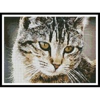 Artecy Cross Stitch Cute Cat 11484 Cross Stitch Chart Hard Copy