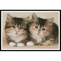 Artecy Cross Stitch Cute Kittens 10209 MGL Cross Stitch Chart Hard Copy