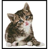 Artecy Cross Stitch Cute Little Kitten 10284 Cross Stitch Chart Hard Copy