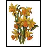 Artecy Cross Stitch Daffodils 10689 Cross Stitch Chart Hard Copy