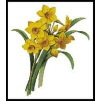 Artecy Cross Stitch Daffodils 2 10482 Cross Stitch Chart Hard Copy