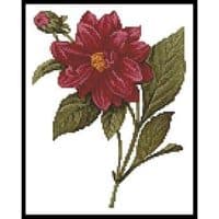 Artecy Cross Stitch Dahlia Double Mini 11038 Cross Stitch Chart Hard Copy