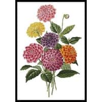 Artecy Cross Stitch Dahlias 10174 Cross Stitch Chart Hard Copy