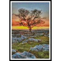 Artecy Cross Stitch Dales Dusk 11687 Cross Stitch Chart Hard Copy