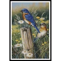 Artecy Cross Stitch Eastern Beauties 13107 JQ Cross Stitch Chart Hard Copy