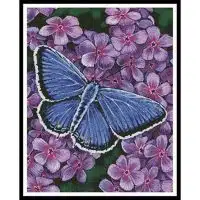Artecy Cross Stitch Eastern Tailed Blue Butterfly 11196 Cross Stitch Chart Hard Copy