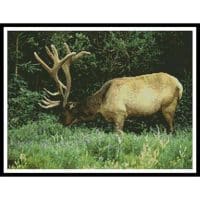 Artecy Cross Stitch Elk 10791 Cross Stitch Chart Hard Copy
