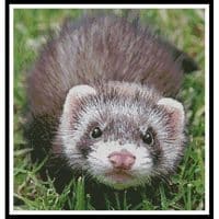 Artecy Cross Stitch Ferret 10394 Cross Stitch Chart Hard Copy