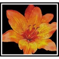 Artecy Cross Stitch Fire Lily Photo 13595 Cross Stitch Chart Hard Copy
