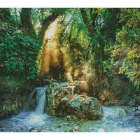 Artecy Cross Stitch Forest Sanctuary 14211 Cross Stitch Chart Hard Copy