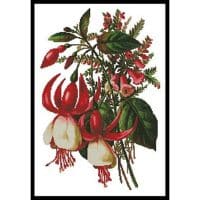 Artecy Cross Stitch Fuschia 3 10312 Cross Stitch Chart Hard Copy