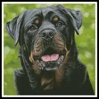 Artecy Cross Stitch George 12274 LAW Cross Stitch Chart Hard Copy