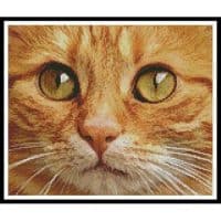 Artecy Cross Stitch Ginger Cat Close Up 12973 Cross Stitch Chart Hard Copy