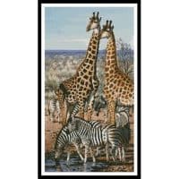 Artecy Cross Stitch Giraffe and Zebra 10373 MGL Cross Stitch Chart Hard Copy