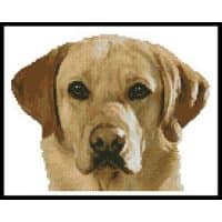 Artecy Cross Stitch Golden Labrador Mini 13286 Cross Stitch Chart Hard Copy